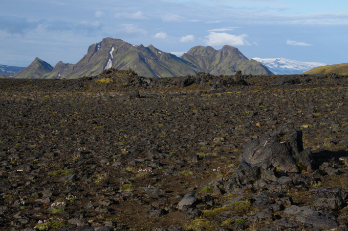Day 3's trek took us through fields and fields of black lava stones.