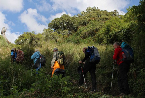 An armed park ranger accompanies our fellow hikers along the trail to Mt. Meru.
