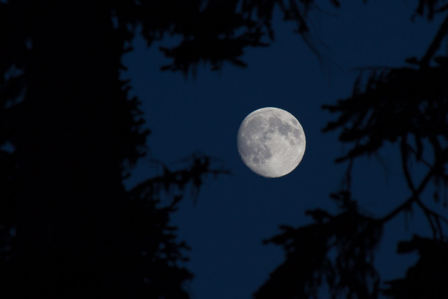 Super Moon above Summerland