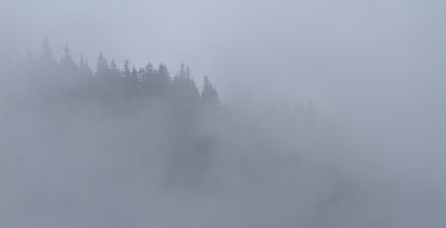 Foggy Morning on Rainier