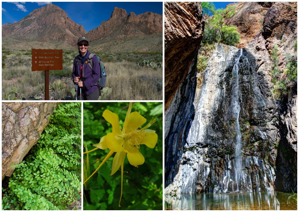 Cattail Falls Collage_2