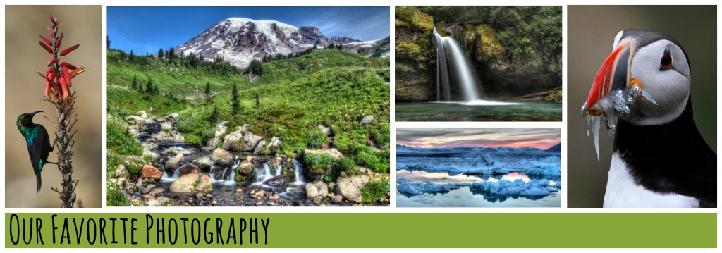 Our Favorite Photography