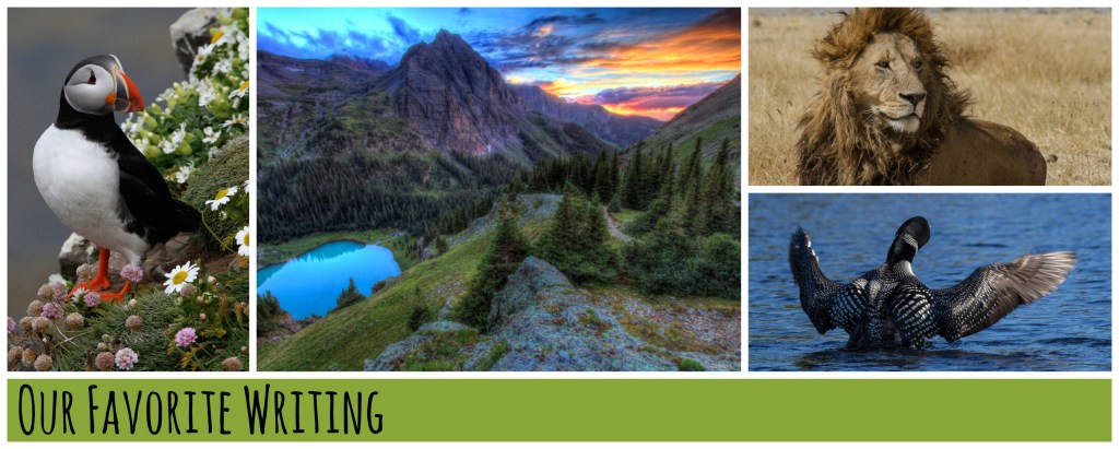 Our Favorite Writing_4