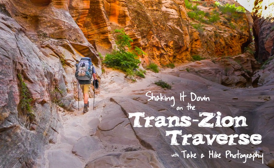 shaking-it-down-on-the-tzt