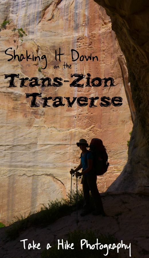 shaking-it-down-on-the-tzt_vertical