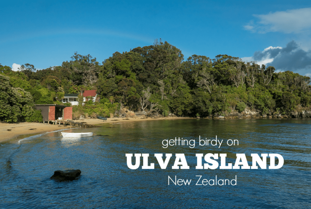 Ulva Island_Title.png